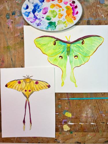 November 4th Watercolor Class at Rosecomb Brewery