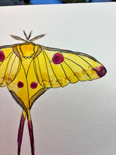 November 4th Watercolor Class at Rosecomb Brewery