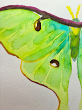 November 4th Watercolor Class at Rosecomb Brewery