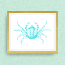 blue crab art print