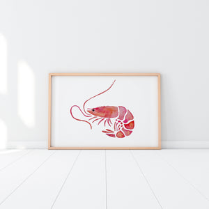 Shrimp Art Print - Shrimp Painting